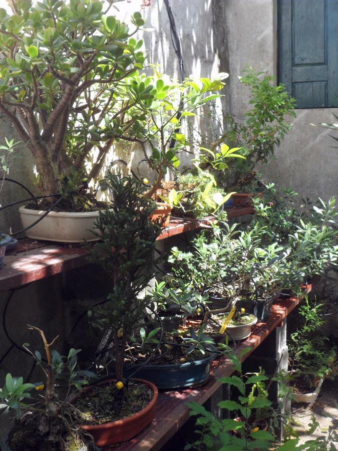 Casa Pensión
