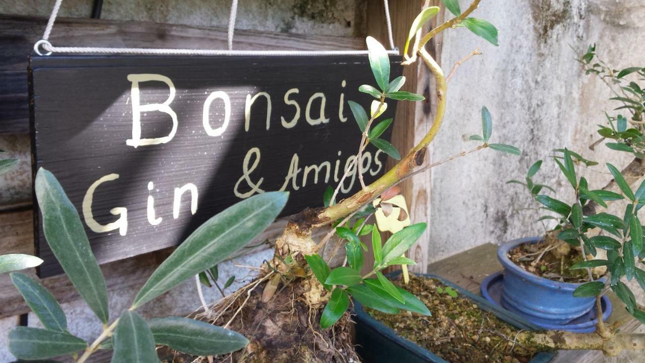 Pensión Casa Coímbra