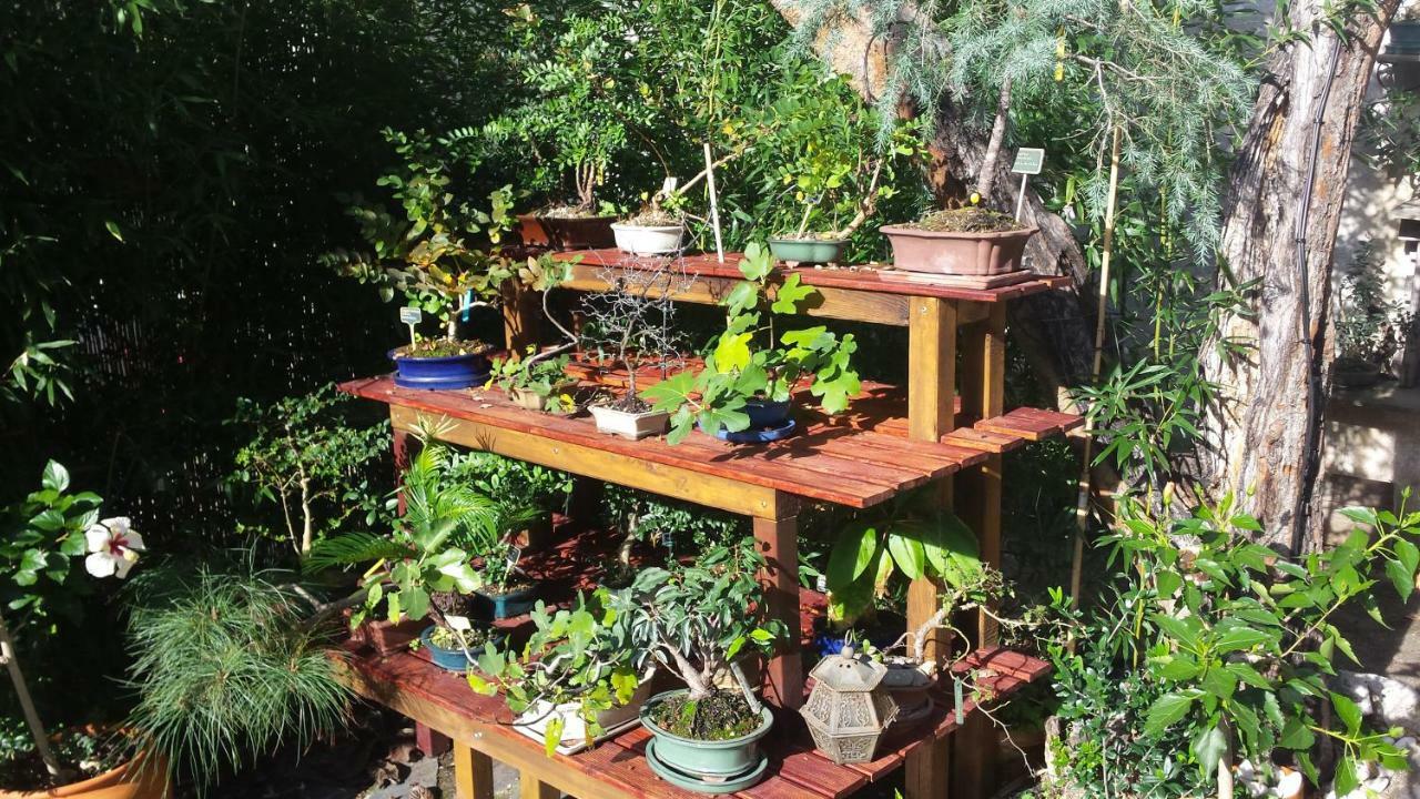 Pensión Casa 3*