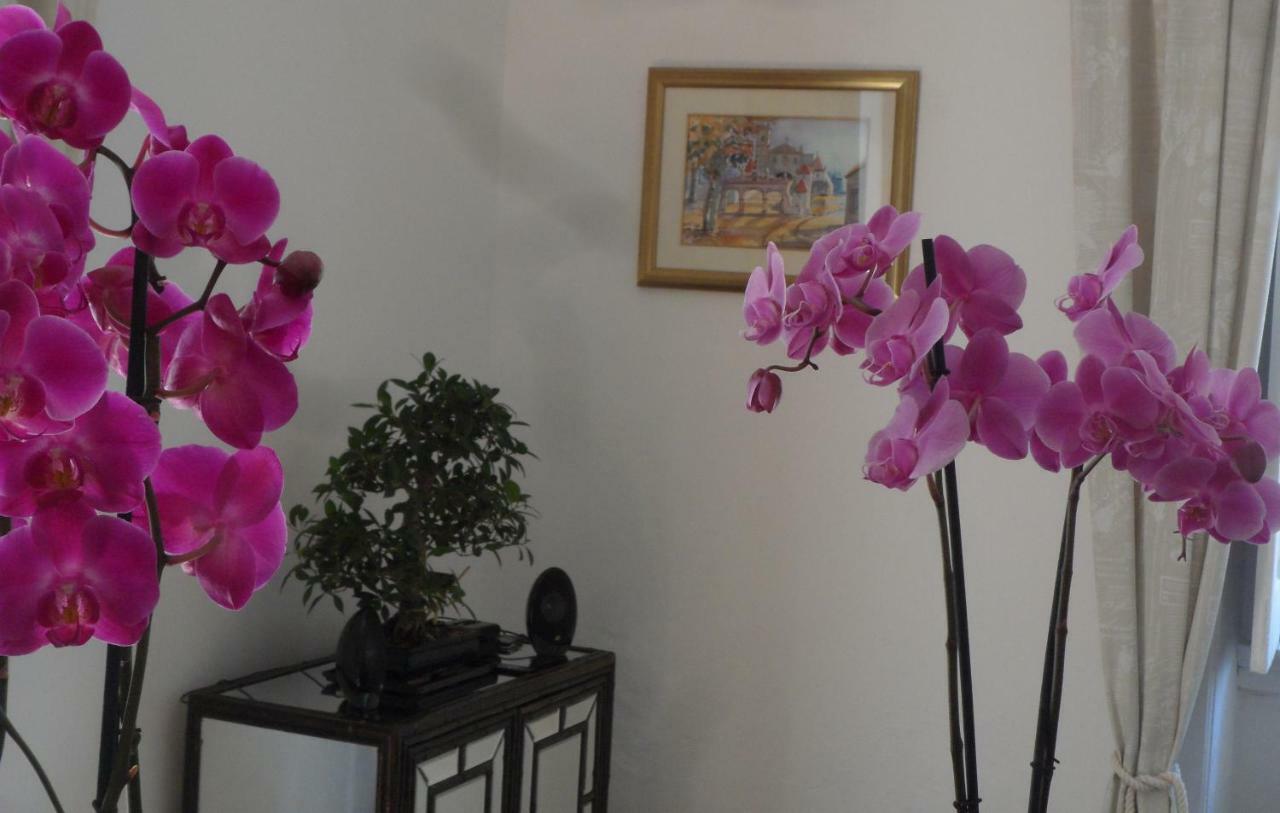 Casa 3* Coímbra