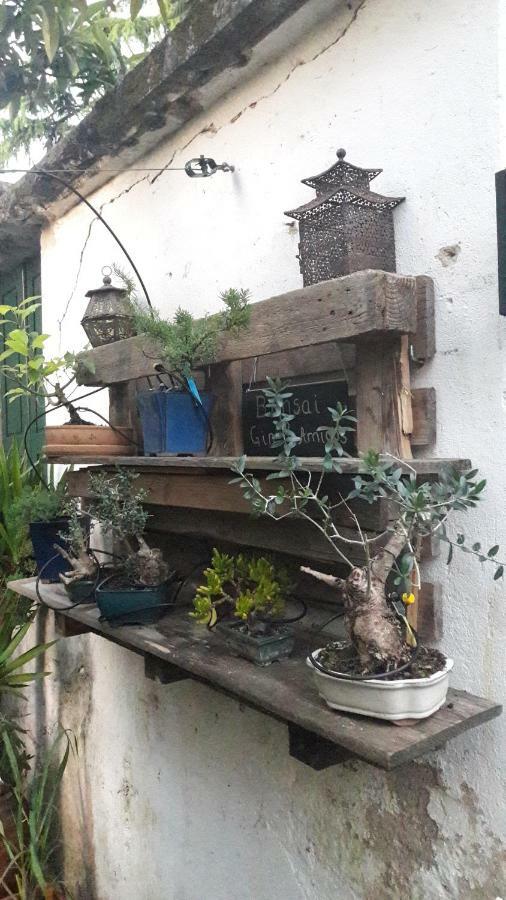 Casa Coímbra
